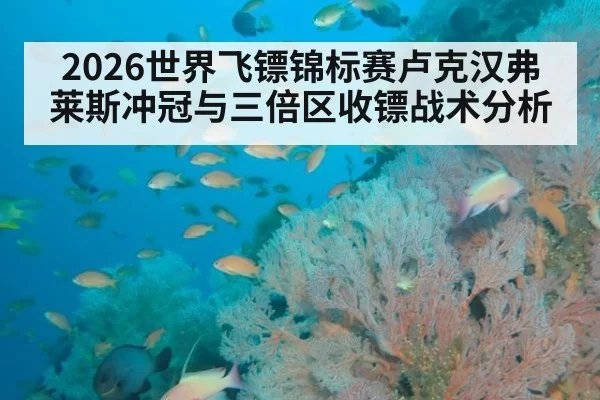 2026世界飞镖锦标赛卢克汉弗莱斯冲冠与三倍区收镖战术分析